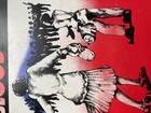 Foto 15 di 24