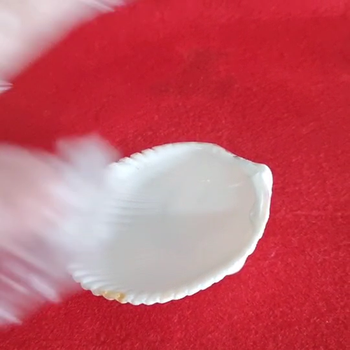 Set 2 Pcs Shell Small Bowl Mini Spoon Mother Of Pearl Caviar Food Serving Dinner - Video 1 of 1