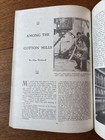 Bild 12 von 17