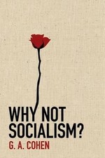 Why Not Socialism? - 9780691143613