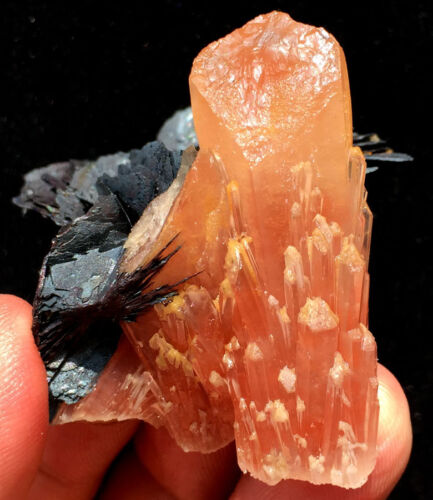 61g Cristallo Rosso Scheletrico Naturale Fantastico + Simbiosi Fiore Specularite ic5400 - Foto 11 di 12