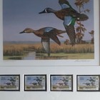 Picture 3 of 9