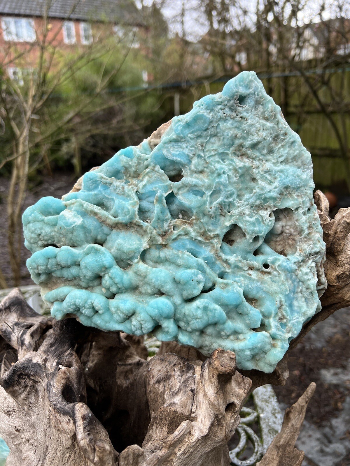 Picture 1 of 8