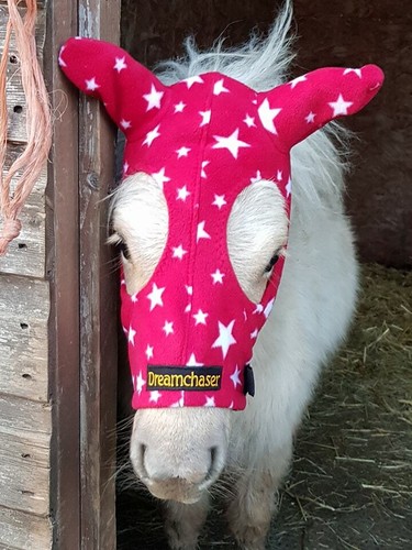 Fleece Pferdegesicht / Kopfbedeckung - Perfekt zum Hinzufügen zusätzlicher Wärme! - Bild 4 von 29