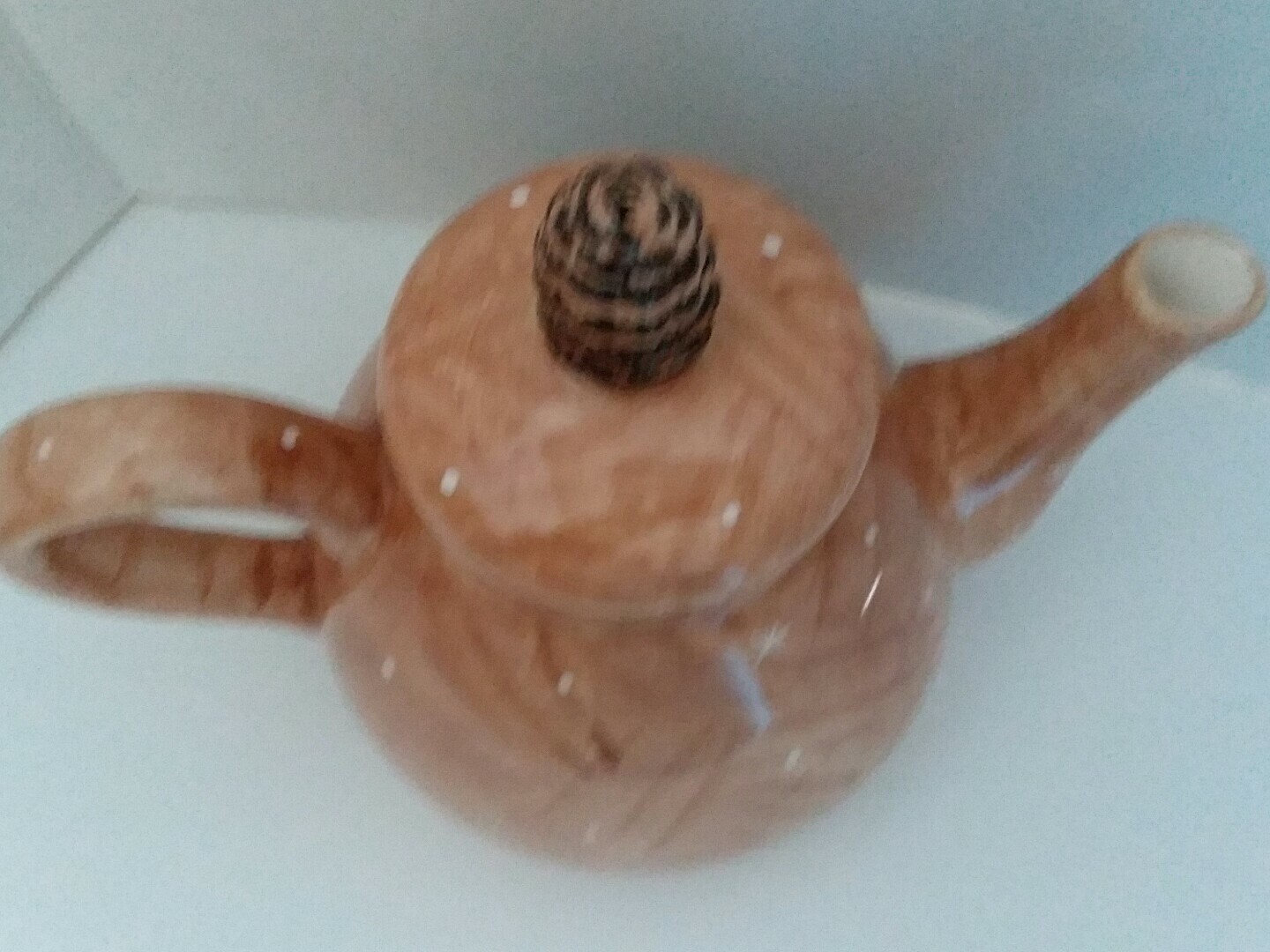 Picture 4 of 5