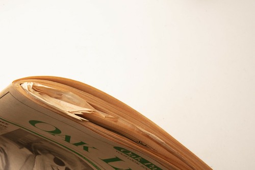 vintage Oak Park Il Illinois Oak Leaves Newspaper 1995 - Afbeelding 7 van 7