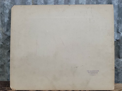 12x10 Schrankkarte El Desierto 1900 Cox & Carmichael Foto Mexiko Picknick Tour - Bild 7 von 9