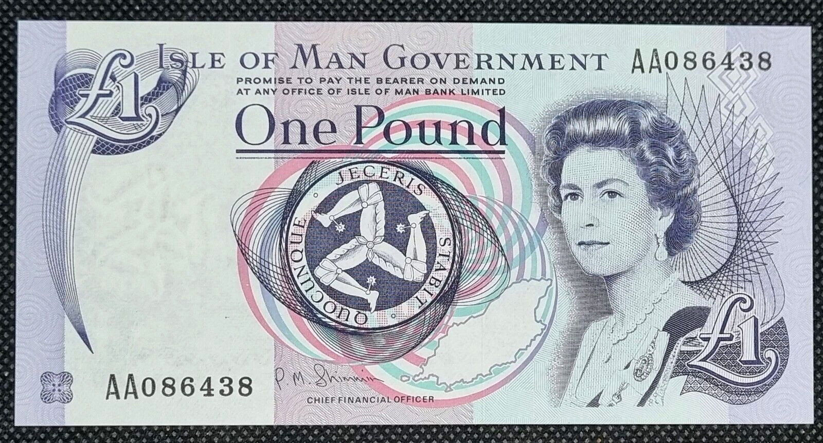 ISLA DE MAN ONE POUND / 1 LIBRA 2009 SIN CIRCULAR / UNC. ISLE OF MAN P-40c