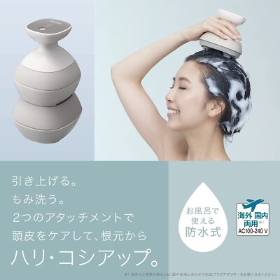 Panasonic Scalp Massage Wash Esthetic Salon Spiral & Slide EH-HE0G