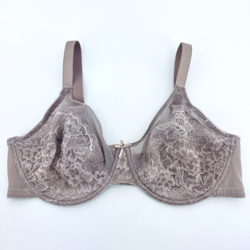 HSIA Bra Beige Underwire Minimizer Lace Floral Bra Unlined Unpadded Size 36D - 第 1/15 張圖片