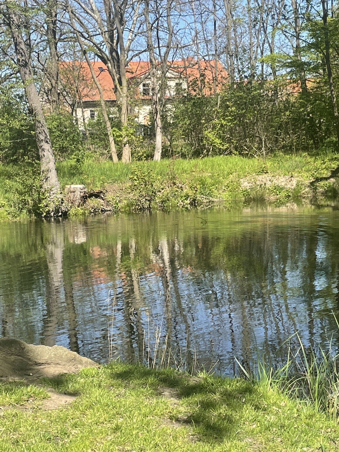 German House FREEHOLD PROPERTY holiday home investment GERMAN MANSION FOR SALE - Picture 16 of 23