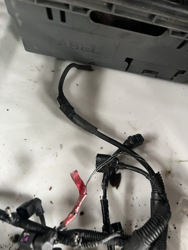VW T5 TRANSPORTER 2007 1.9 TDI FRONT ENGINE WIRING LOOM - Picture 2 of 12