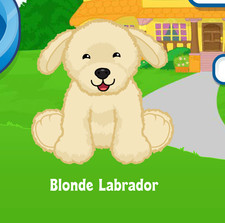 Webkinz Blonde Labrador Virtual Adoption Code Only Messaged Webkinz Lab Dog Code