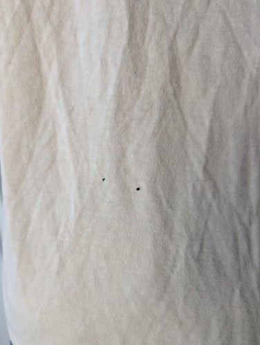 Vtg. Pasadena Health Club Bill Pearl's Gym Tank Top T, T-shirt Medicine Ball Lg - Picture 14 of 20