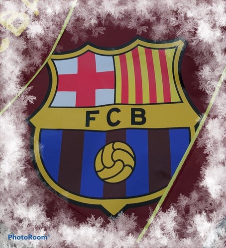 Barcelona Gym Bag FC Messi Dranwstring Bag Barca Sack Swim Tote Free Ship - Picture 5 of 5