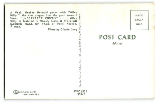 Postal Florida Bathing Beauty WEEKI WACHEE MERMAID Wiley Willy Dragon años 60 - Imagen 2 de 2