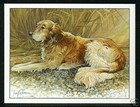 Domestic Animals Other Trade Card Collectable Trade Cards