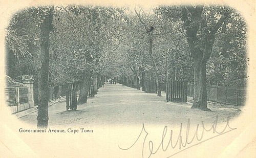 Postal de colección - Avenida del Gobierno, Ciudad del Cabo, Ciudad Portuaria, Sudáfrica - Imagen 1 de 2