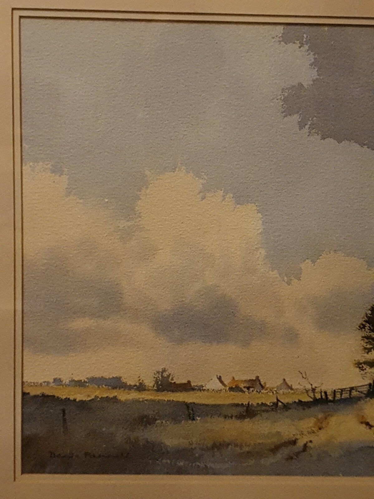 Picture 4 of 12