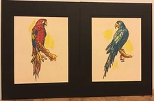Original Paintings Of Macaws Lot Of 2 OOAK