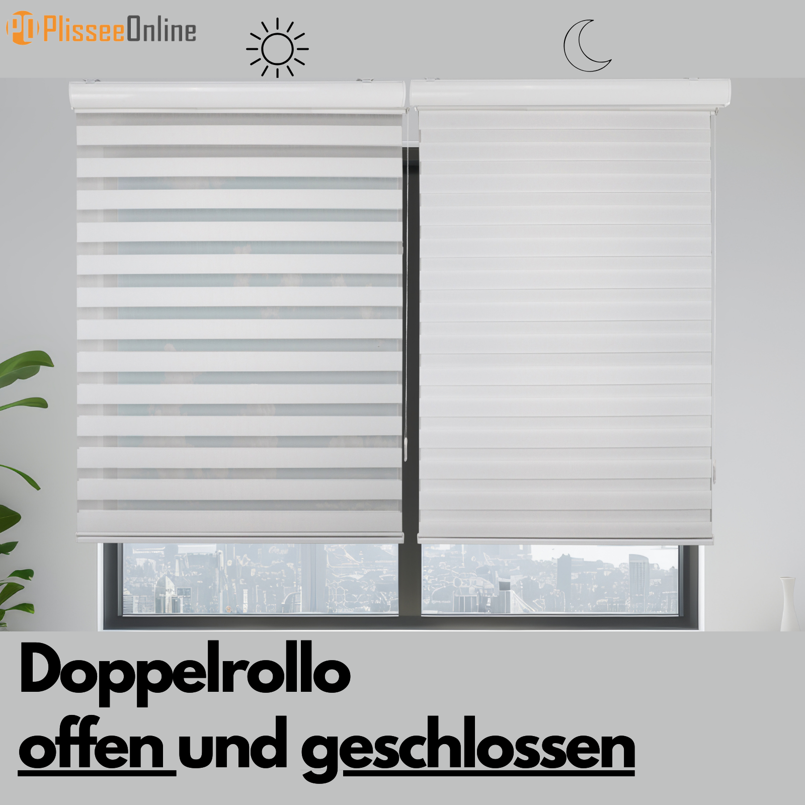 Bild 8 von 24