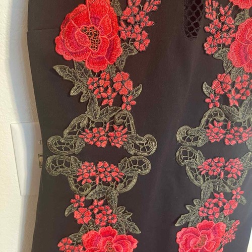 Mystic floral embroidered bodycon midi dress - Picture 2 of 4