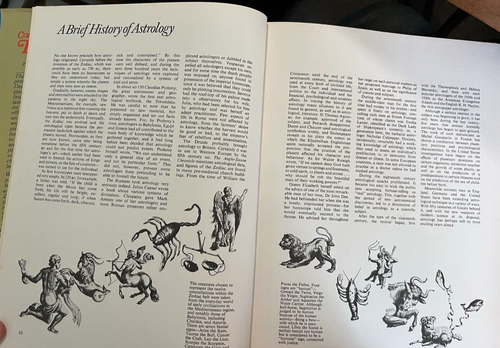 The Compleat Astrologer's Love Signs Derek & Julia Parker Hardcover Book (D32) - Imagen 11 de 18