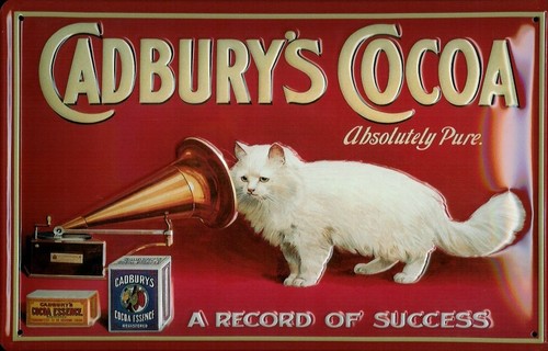 Blechschild Cadbury Cocoa Katze Grammophon Schokolade Schild 20x30 Schoko