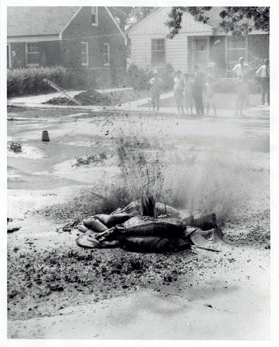1959 Original Foto Wasserpfeifenbüsten verursachen Doline Riverbank St. Lincoln Park - Bild 1 von 2