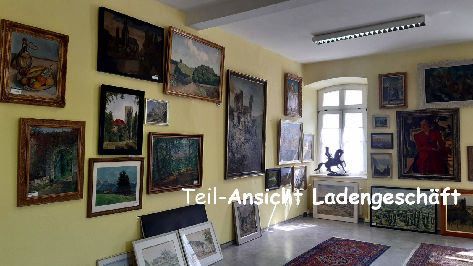 Bild 12 von 12