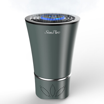 Smoke filter best sale for car