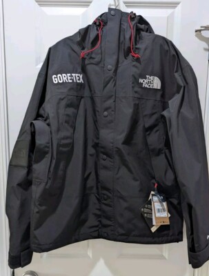 2025 NWT The North Face Gore-TEX GTX MOUNTAIN JACKET Men's