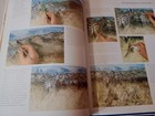 Foto 13 di 15