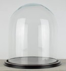 Vintage Look Glass Display Dome Height 60 cm x 27.5 cm