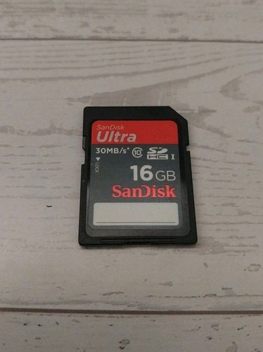 SanDisk Ultra 16 GB 30MB/s SD HC 1 Camera Memory Card Working