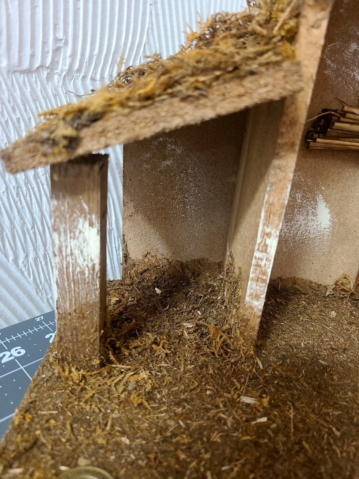 Picture 3 of 18