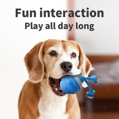 Interaktiver Ball Spielzeug Mehrzweck Geschenk Haustier Ball Fangspielzeug Elektrischer Springball