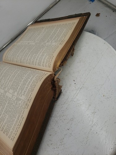 Antique 1881 Holy Bible Old & New Testaments w/2500+Illustrations - Imagen 20 de 24