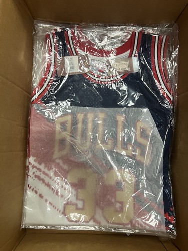 Chicago Bulls Scotti Pippen Mitchell & Ness HWC Independence Swingman Jersey.New - Picture 8 of 8