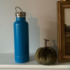 Frontgate Insulated Canteen blue new