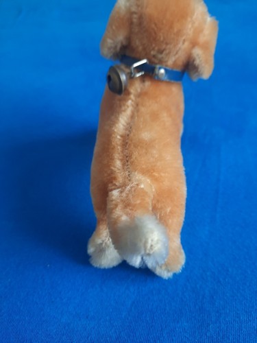 Steiff Hund DOG BAZI stehend 10 cm Knopf, Fahne+ Knopf fehlen 1310,00 1950-58 - Bild 7 von 8