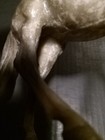 Bild 8 von 18