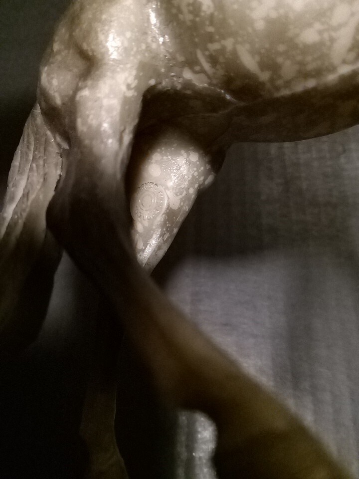 Bild 8 von 18