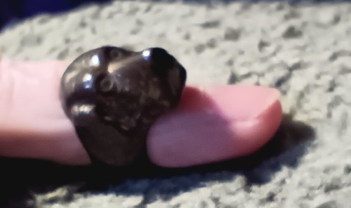 UNIQUE handmade dog ring. Spaniel? Rare unusual boho size 6? Exceptional puppy - Picture 10 of 16