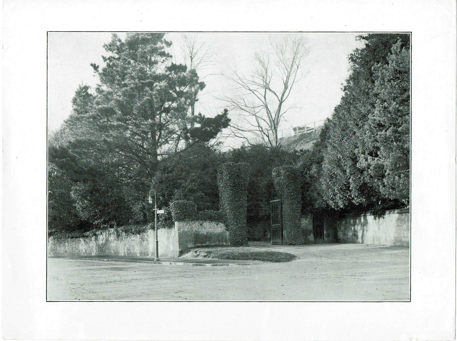 Picture 7 of 10