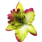 Bild 15 von 31