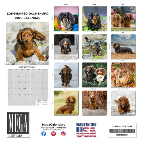 Longhaired DACHSHUND Wall Calendar 2025 Animal DOG PET Lover Gift - Picture 2 of 2