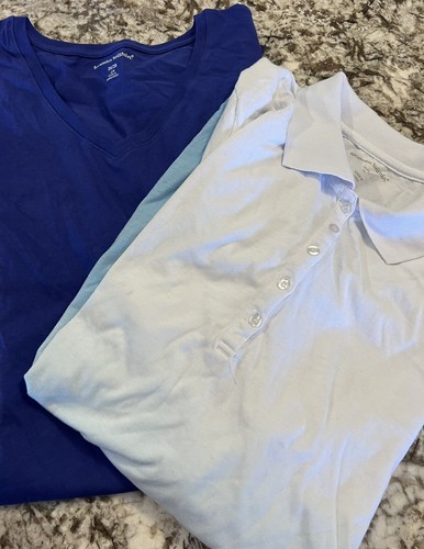 2 NEW Woman Within Womans Shirt 2X 26/28 Blue V Neck Short Sleeve Polo Ombre Lot - Picture 9 of 9