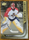 Sport Trading Cards, 2015-16 Florida Panthers Aufbewahrungs- & Ausstellungs-Zubehör Eishockey