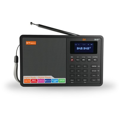 FM RDS 2.4/" Support Bluetooth TF Card GTMEDIA D2 Portable Digital Radio DAB